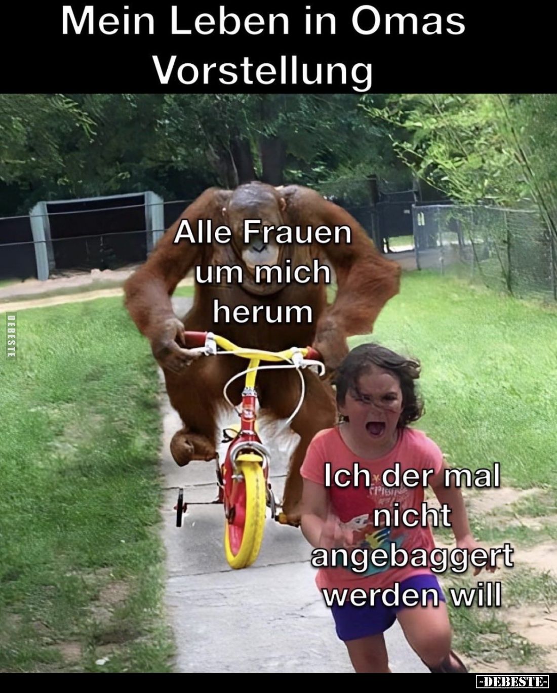 Mein Leben in Omas Vorstellung.

Alle Frauen um mich herum.

Ich, der mal nicht angebaggert werden will.