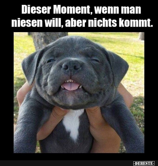 Dieser Moment, wenn man niesen will, aber nichts kommt.