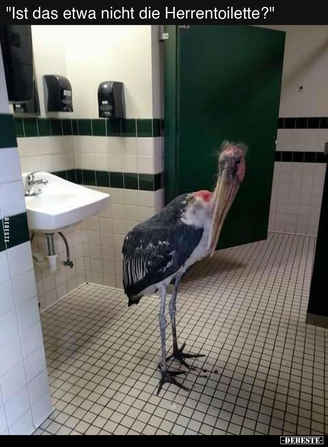 "Ist das etwa nicht die Herrentoilette?"..