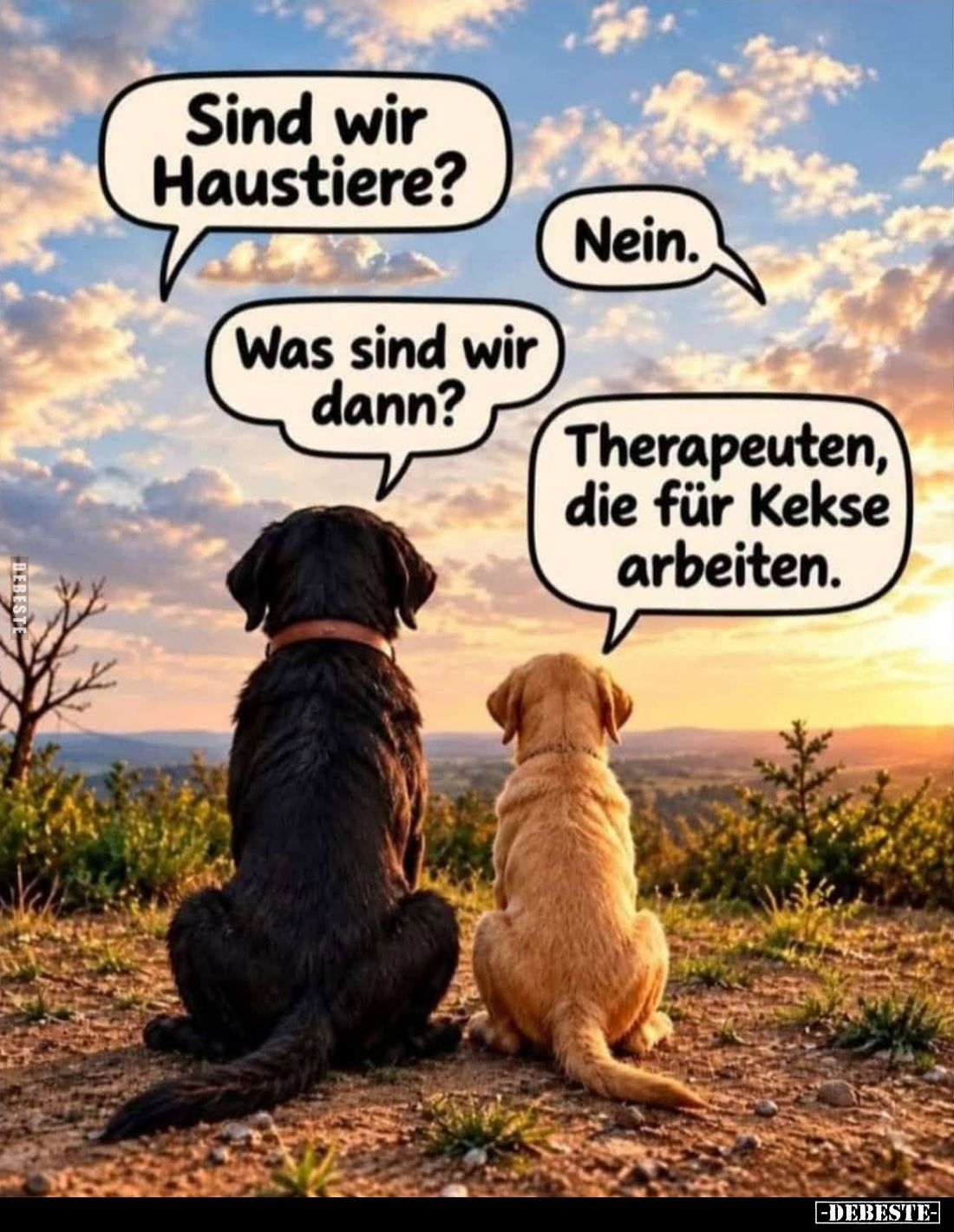 Sind wir Haustiere? -
Nein. -
Was sind wir dann? -
Therapeuten, die für Kekse arbeiten.