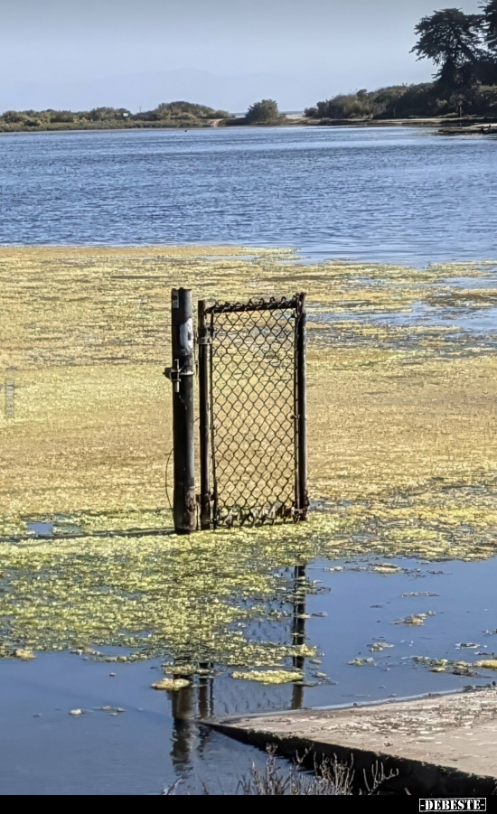  - Lustige Bilder | DEBESTE.de