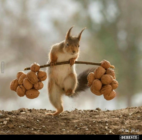  - Lustige Bilder | DEBESTE.de