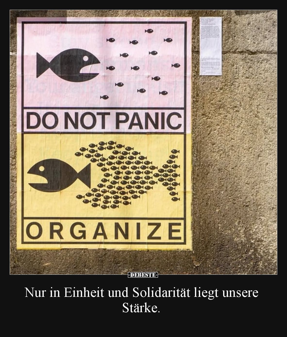 Nur in Einheit und Solidarität liegt unsere Stärke... - Lustige Bilder | DEBESTE.de