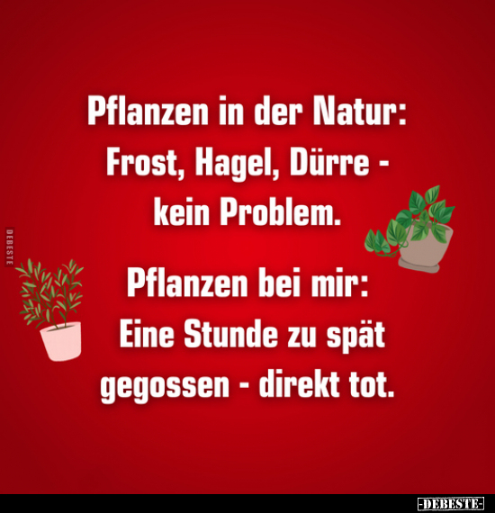 Pflanzen in der Natur: Frost, Hagel, Dürre - kein.. - Lustige Bilder | DEBESTE.de