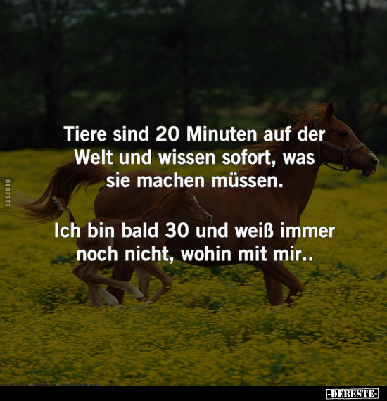 Tiere sind 20 Minuten auf der Welt.. - Lustige Bilder | DEBESTE.de