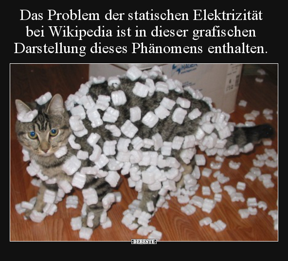 Das Problem der statischen Elektrizität bei Wikipedia ist.. - Lustige Bilder | DEBESTE.de