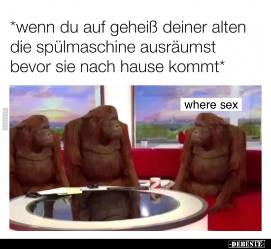 *Wenn du auf Geheiß deiner alten die Spülmaschine..