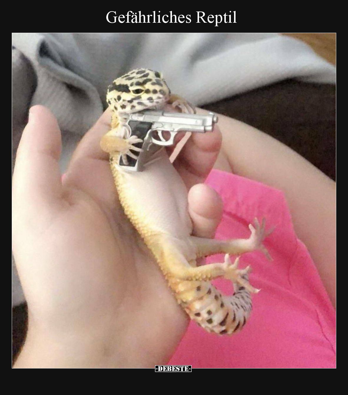 Gefährliches Reptil