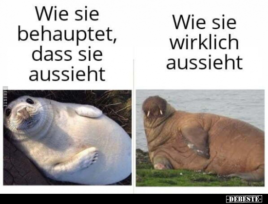 Wie sie behauptet, dass sie aussieht.

Wie sie wirklich aussieht.
