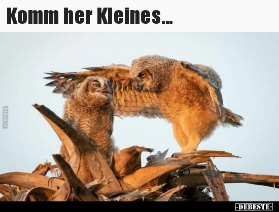 Komm her Kleines... - Lustige Bilder | DEBESTE.de