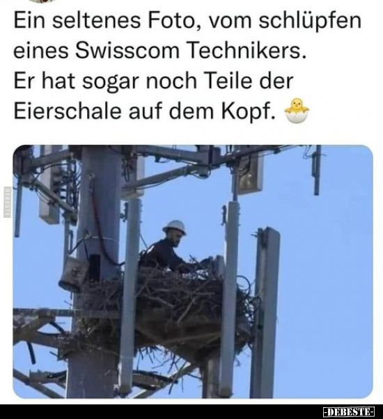 Ein seltenes Foto, vom schlüpfen eines Swisscom.. - Lustige Bilder | DEBESTE.de