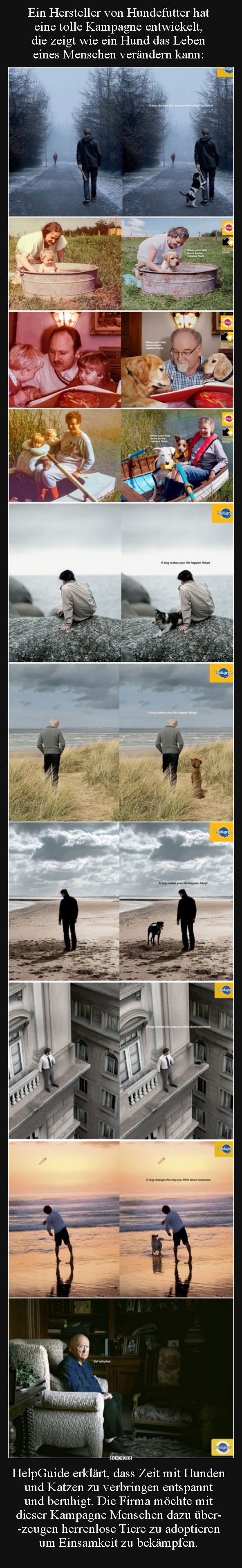 Ein Hersteller von Hundefutter hat eine tolle Kampagne.. - Lustige Bilder | DEBESTE.de