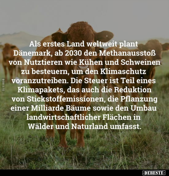 Als erstes Land weltweit plant Dänemark.. - Lustige Bilder | DEBESTE.de