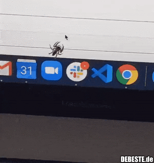 Kleiner Spaß mit einer Spinne.