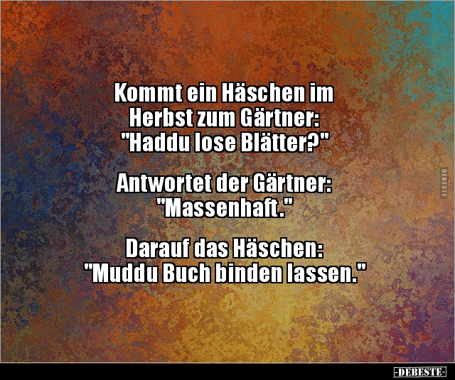 Kommt ein Häschen im Herbst zum Gärtner: "Haddu lose.." - Lustige Bilder | DEBESTE.de