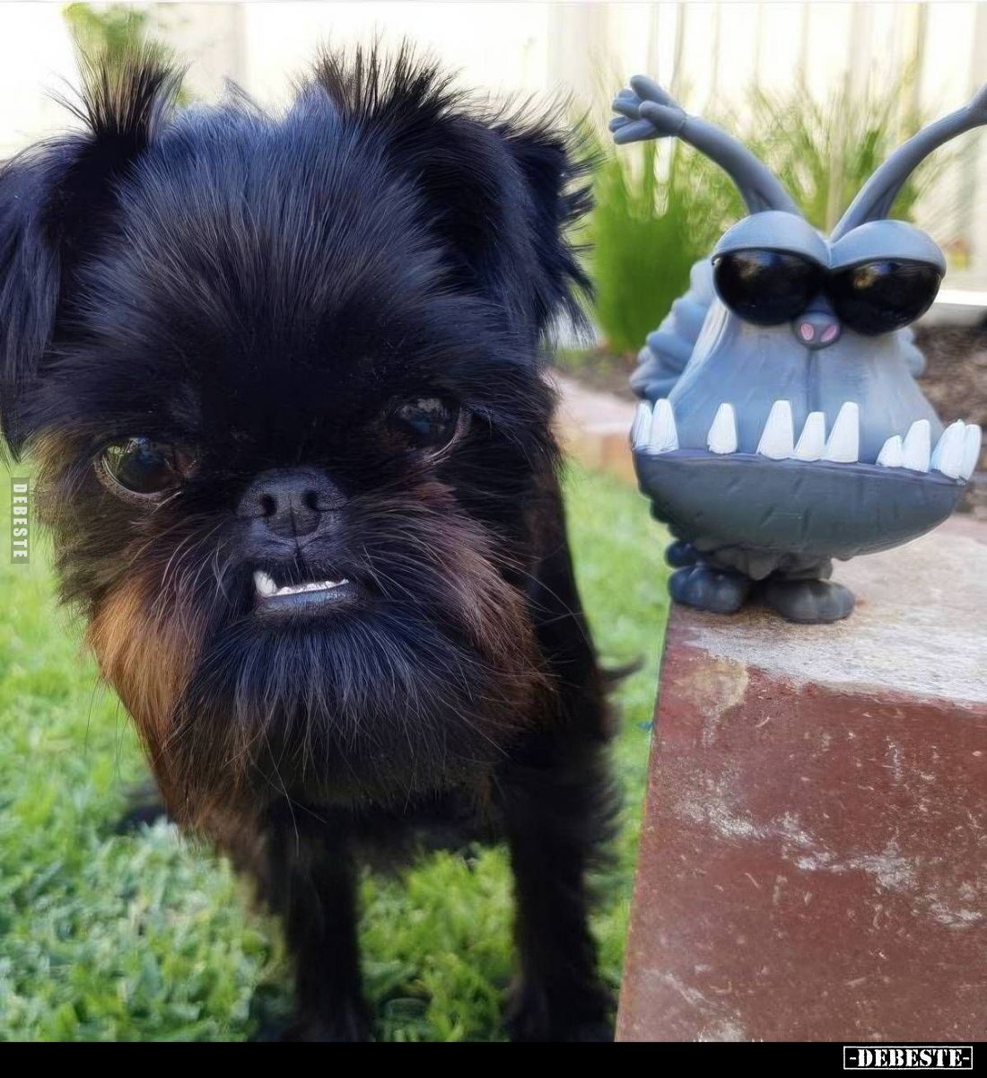  - Lustige Bilder | DEBESTE.de