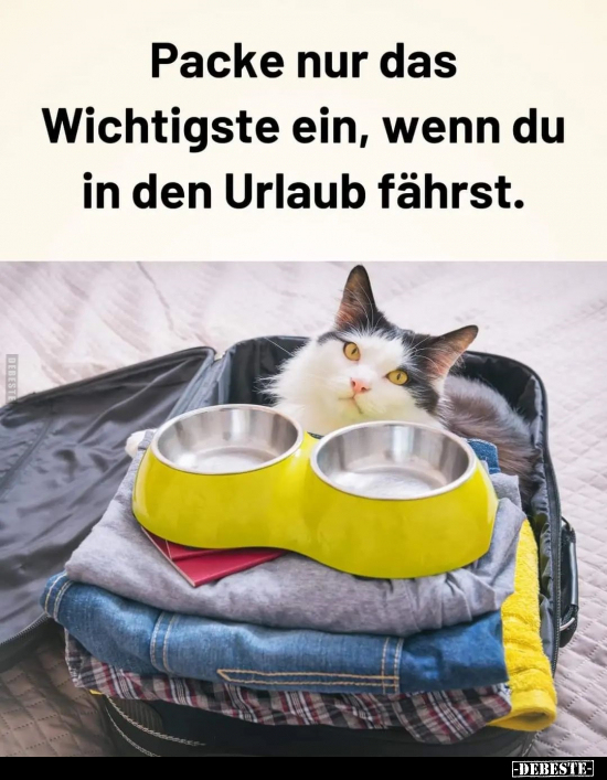 Packe nur das Wichtigste ein.. - Lustige Bilder | DEBESTE.de