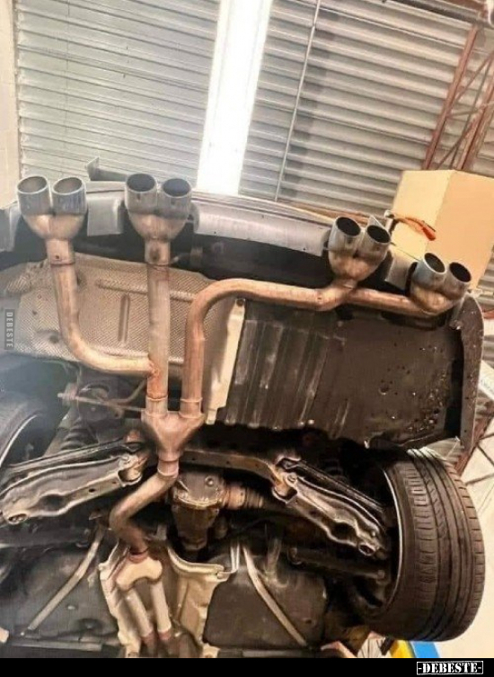  - Lustige Bilder | DEBESTE.de