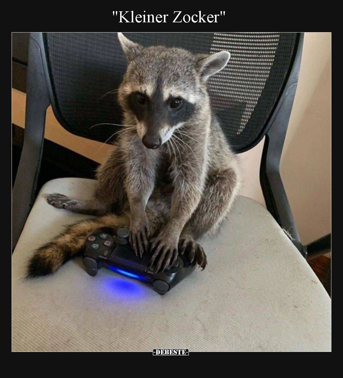 "Kleiner Zocker".. - Lustige Bilder | DEBESTE.de