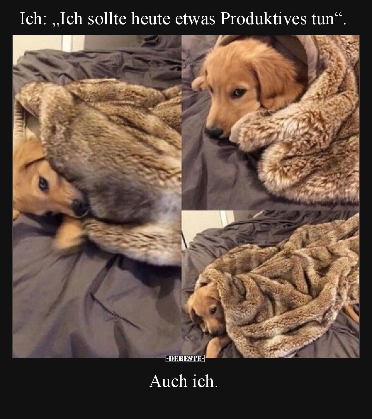 Ich: „Ich sollte heute etwas Produktives tun“. Auch ich: