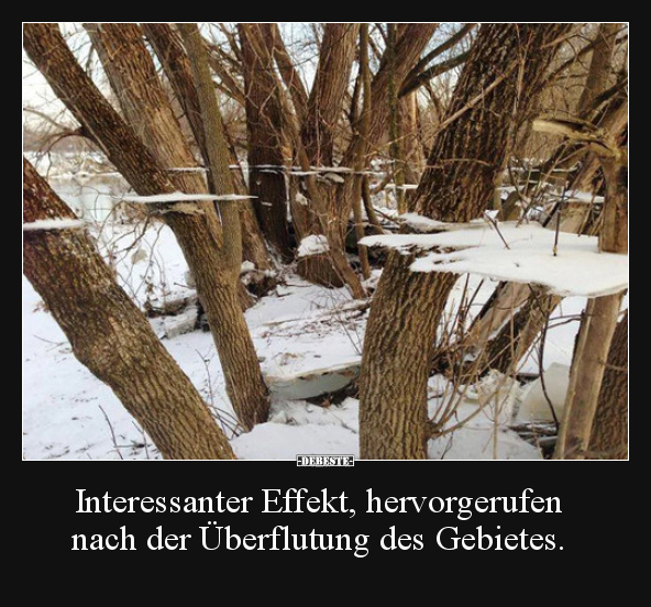 Interessanter Effekt, hervorgerufen nach der Überflutung.. - Lustige Bilder | DEBESTE.de