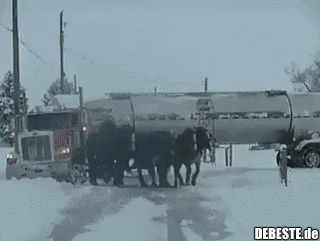 Aber sonst immer Witze machen über die Amish...