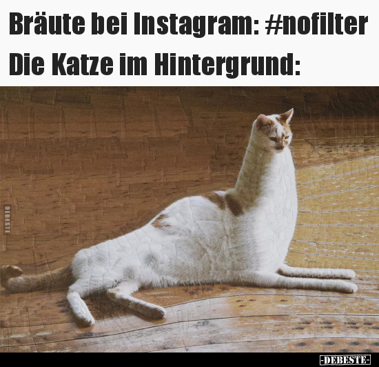 Bräute bei Instagram: #nofilter.. - Lustige Bilder | DEBESTE.de