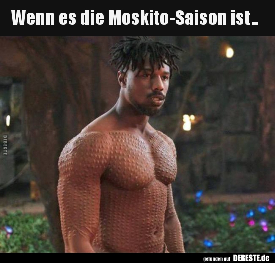 Wenn es die Moskito-Saison ist..