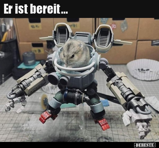 Er ist bereit...