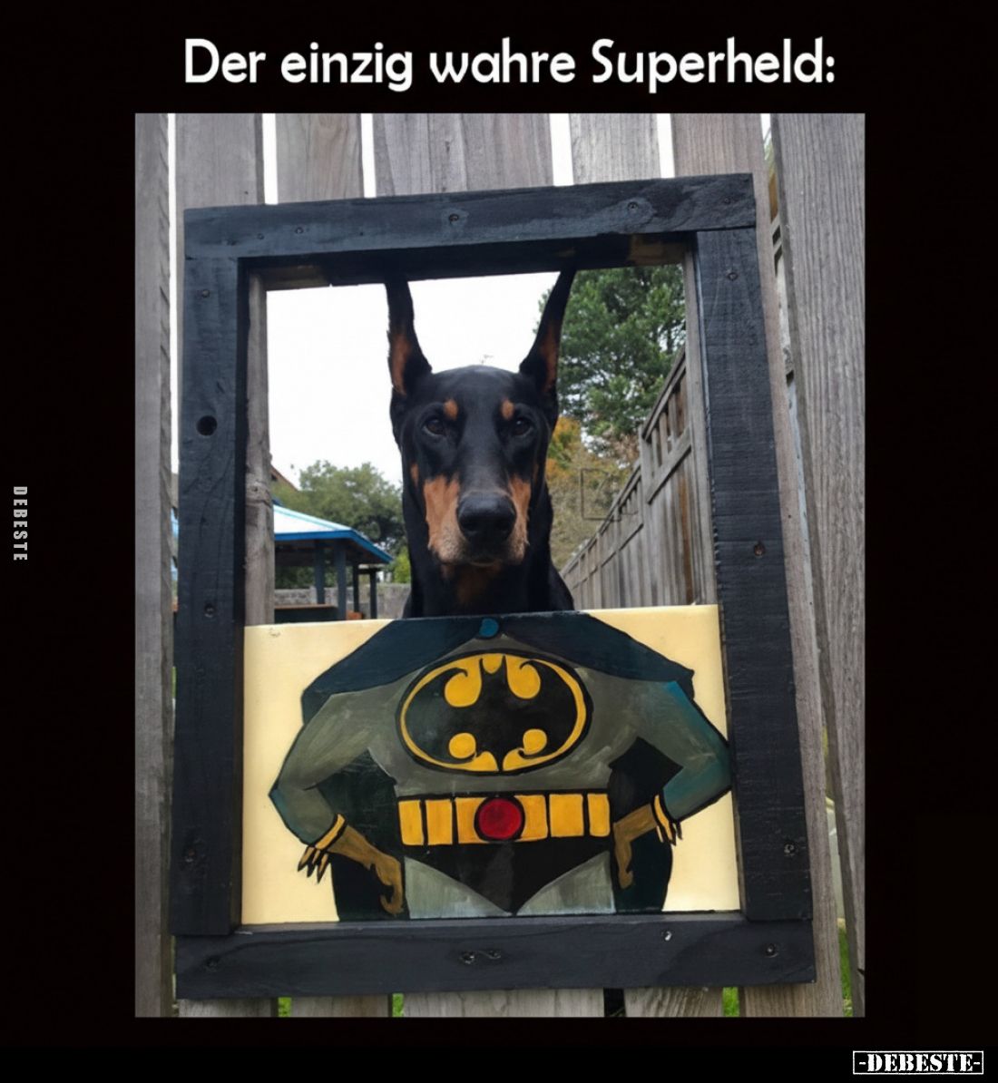 Der einzig wahre Superheld.. - Lustige Bilder | DEBESTE.de
