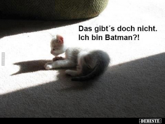 Das Gibt S Doch Nicht Ich Bin Batman Lustige Bilder Spruche Witze Echt Lustig