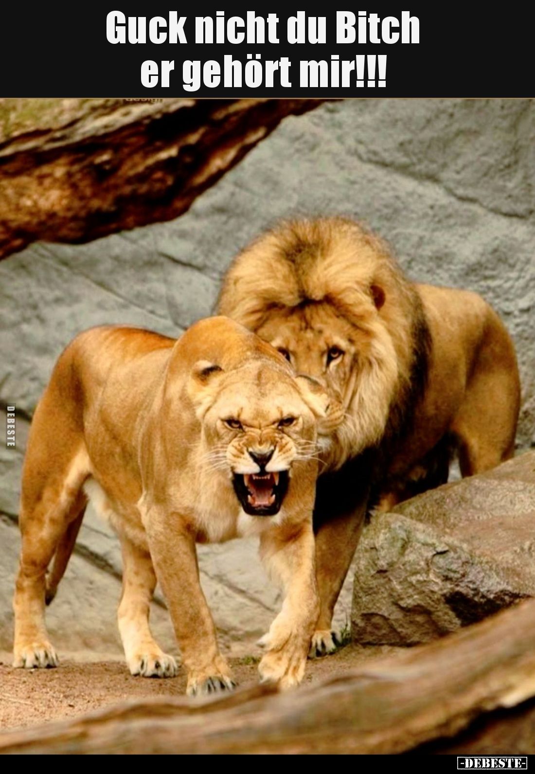 Guck nicht du Bitch er gehört mir!!!