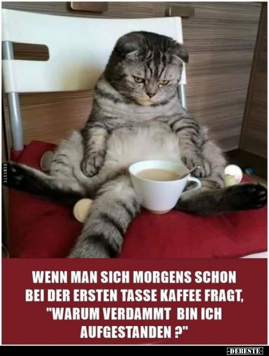 Wenn man sich morgens schon bei der ersten Tasse Kaffee.. - Lustige Bilder | DEBESTE.de
