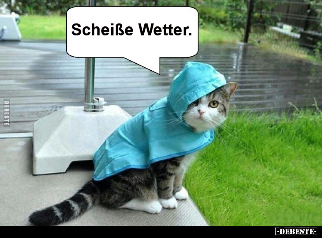 Scheiße Wetter.
