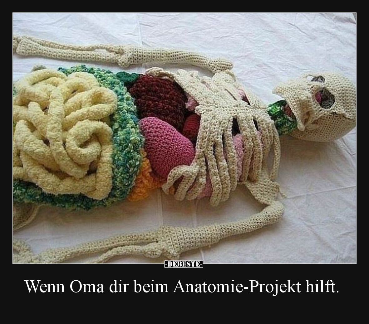 Wenn Oma dir beim Anatomie-Projekt hilft.