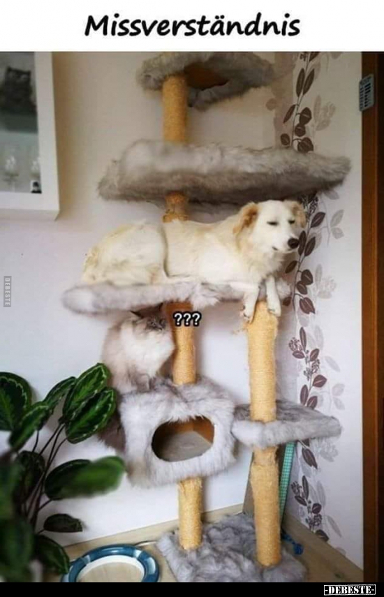 Missverständnis..