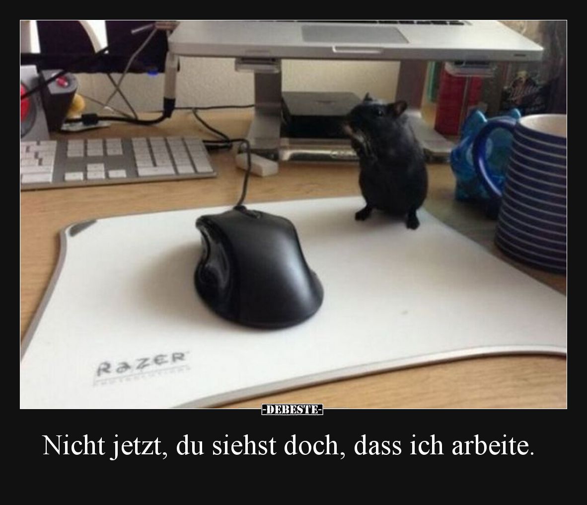 Nicht jetzt, du siehst doch, dass ich arbeite.