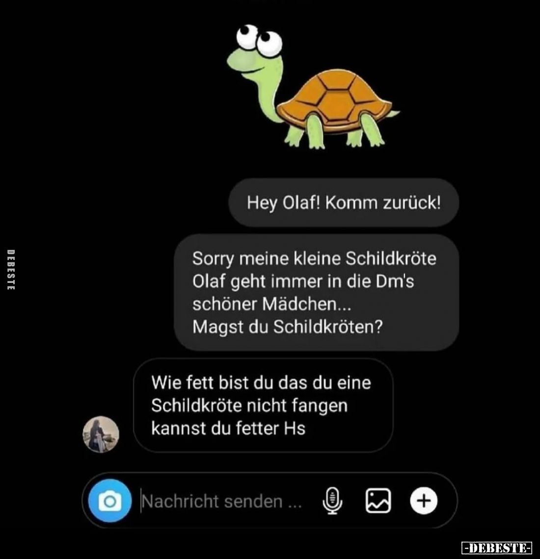 Hey Olaf! Komm zurück!
Sorry meine kleine Schildkröte Olaf geht immer in die Dm's schöner Mädchen... Magst du Schildkröten?
...
