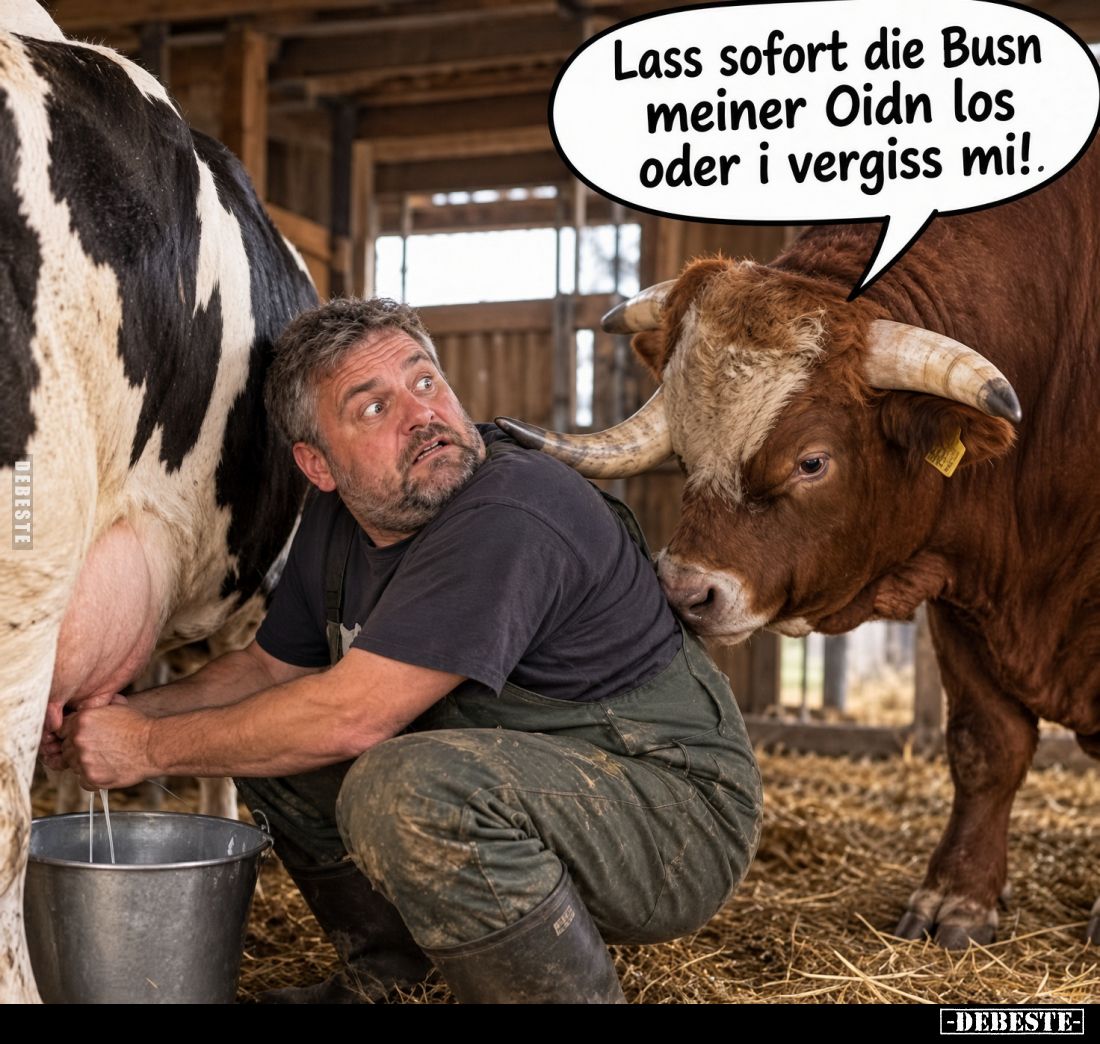 Lass sofort die Busn
meiner Oidn los
oder i vergiss mi!