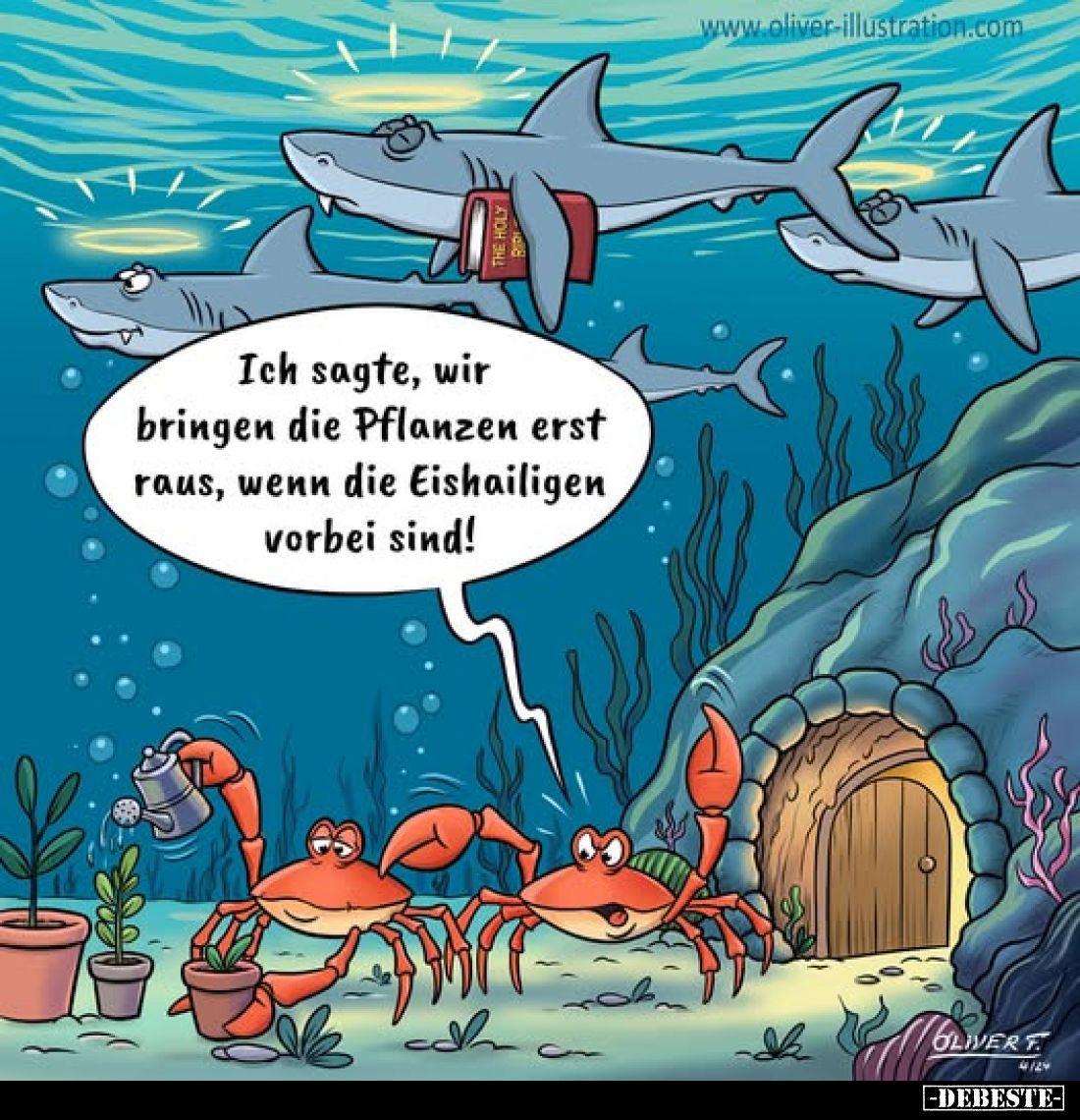 Ich sagte, wir bringen die Pflanzen erst raus, wenn die Eisheiligen vorbei sind!
