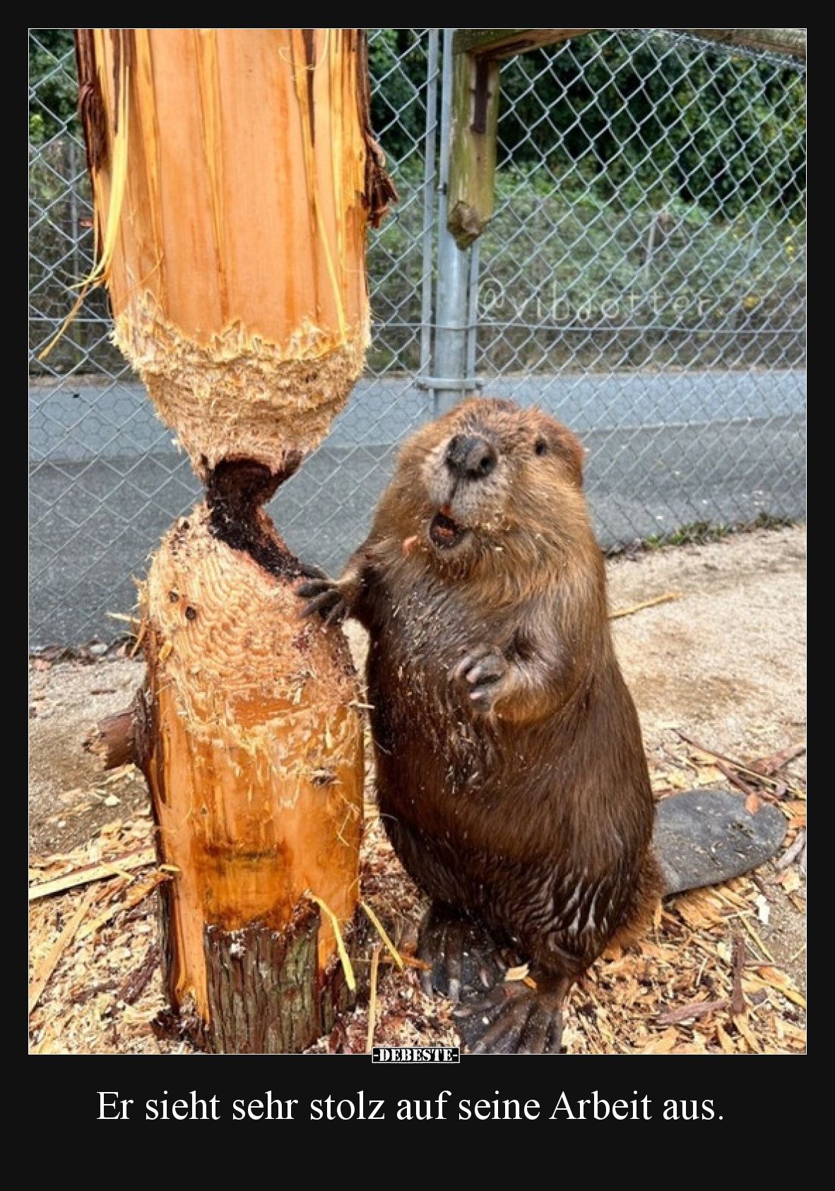 Er sieht sehr stolz auf seine Arbeit aus.