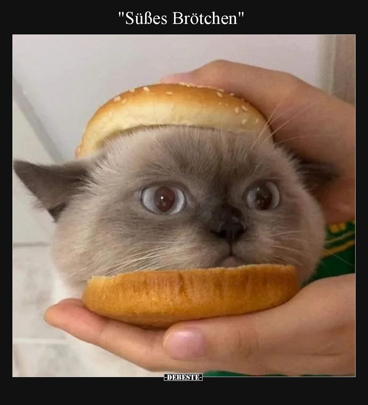 "Süßes Brötchen"