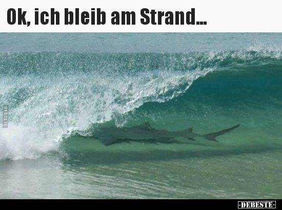 Ok, ich bleib am Strand... - Lustige Bilder | DEBESTE.de