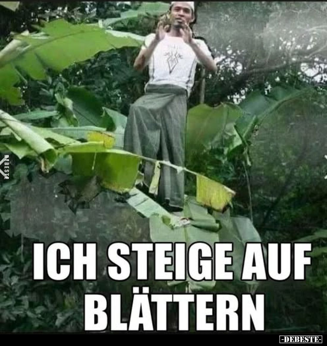 Ich steige auf Blättern