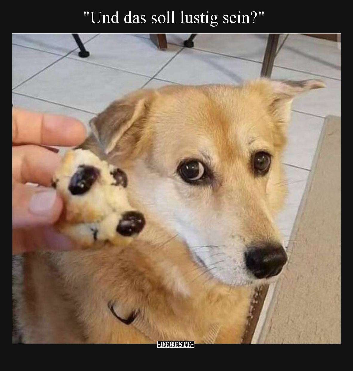 Und das soll lustig sein?