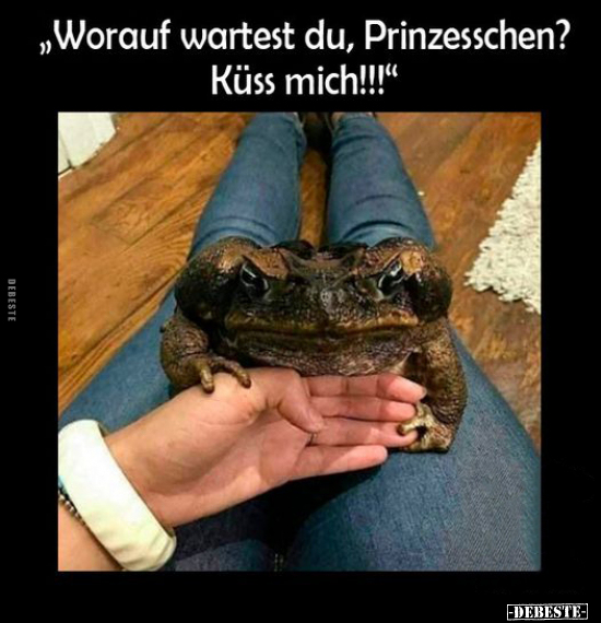 „Worauf wartest du, Prinzesschen?.." - Lustige Bilder | DEBESTE.de