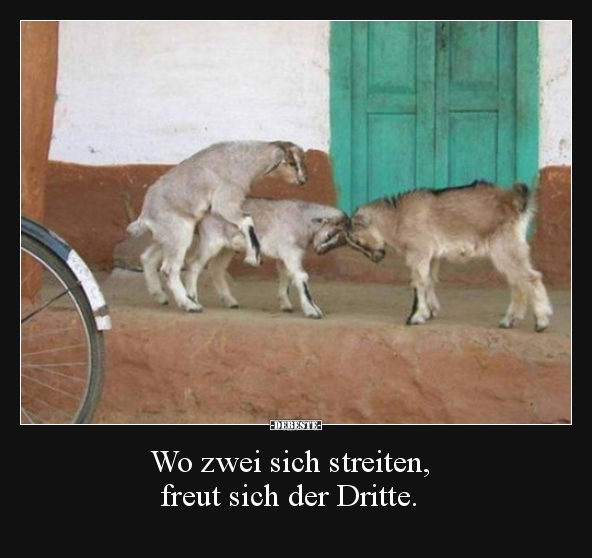 Wo zwei sich streiten, freut sich der Dritte... - Lustige Bilder | DEBESTE.de