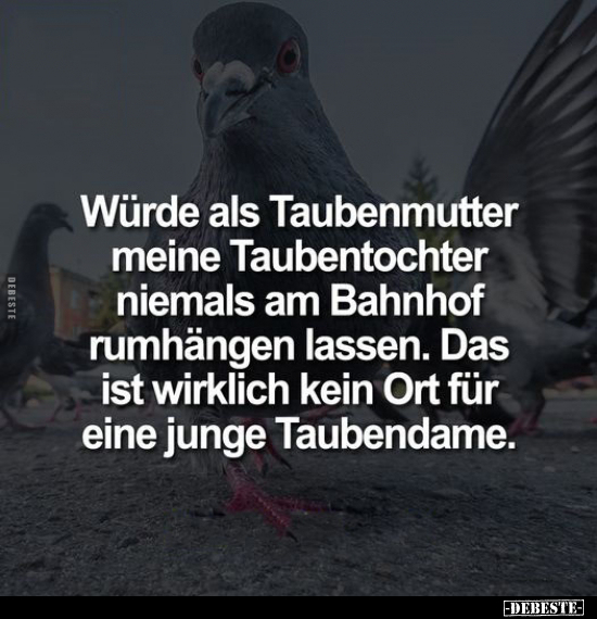 Würde als Taubenmutter meine Taubentochter.. - Lustige Bilder | DEBESTE.de