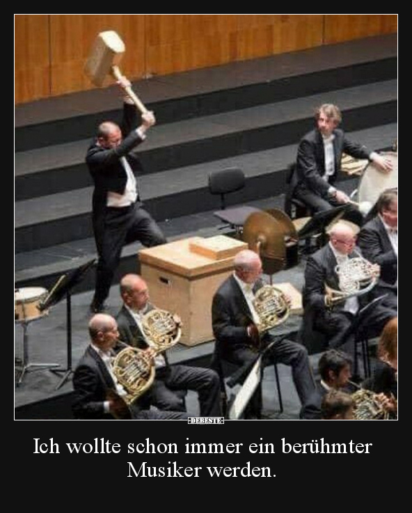 Ich wollte schon immer ein berühmter Musiker werden... - Lustige Bilder | DEBESTE.de