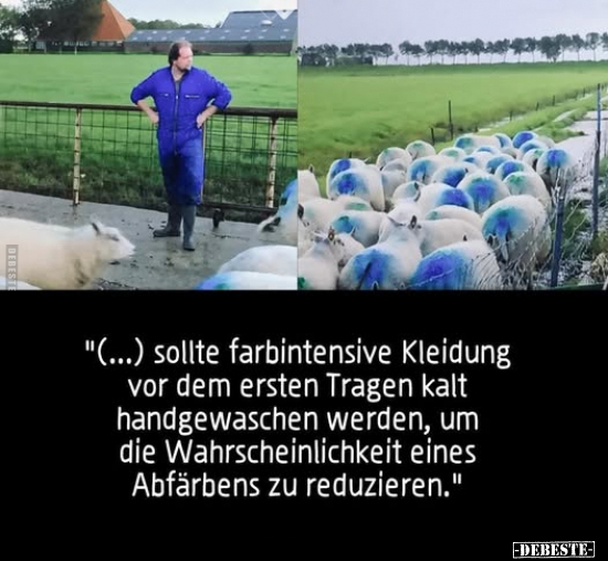 Sollte farbintensive Kleidung.. - Lustige Bilder | DEBESTE.de